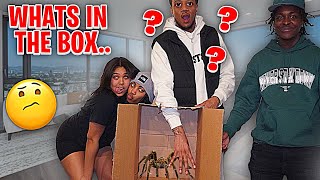 What’s In The Box Challenge! *Girls vs Boys*