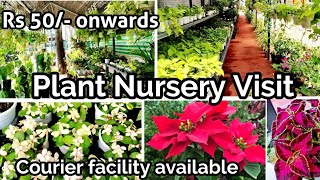 Amazing Plant Nursery in India || Indoor plants || Yugen Nursery Kochi || Air purifying plants