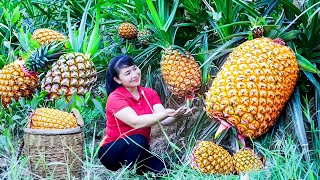 How to Harvest Pineapple, goes To Market Sell - Harvesting and Cooking |Tieu Vy Daily Life