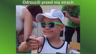 Żywa Edukacja #1