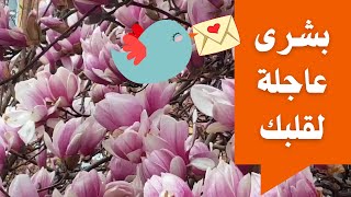 بشرى 🕊💌 عاجلة لقلبك ❤️ ولعل الله بحكمته قدر لك أن تراها ☝️ الأن