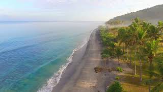 Beach I Drone I Nature