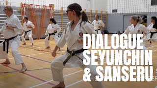 Dialogue applications Seyunchin & Sanseru, L'École martiale, Karaté-do goju-ryu Okinawa