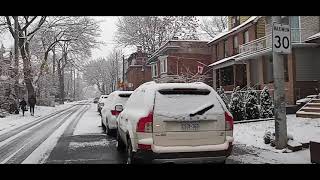 Winter Wonderland | First Snow Fall | Snow Day | Amazing Snow Failing |