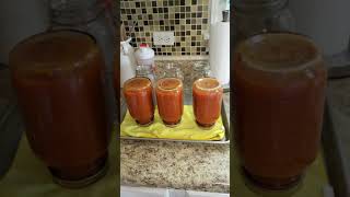 Canned some salsa from this week's harvest!