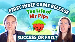 Was our indie game launch a success? - "The Life of Mr Pips" post-mortem