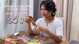 “NĂM THẾ GIỚI SỐ 8” đang chờ đón bạn điều gì 🎱 Kitoàn Tarot Channel