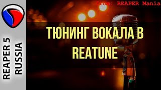 Тюнинг вокала в ReaTune - Эффекты и плагины в REAPER