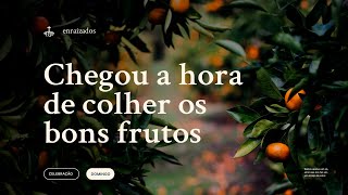 CHEGOU A HORA DE COLHER BONS FRUTOS | PR. ELSON RIBEIRO