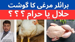 Broiler chicken is Halal or Haram ?? برائلر چکن کا گوشت حلال ہے یا حرام