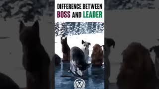 Difference between Boss and Leader - copyright belongs to original owners