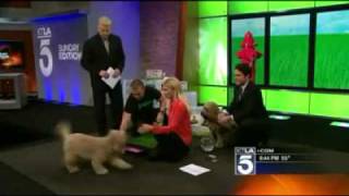 KTLA Sunday Edition Features The Pet Loo