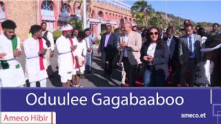 AMECO HIBIR: Oduulee Gaggabaaboo  11/03/2017