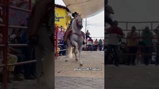 Exhibición de Caballos Bailadores /Ometepec Gro.