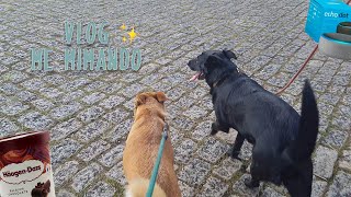 VLOG ME MIMANDO - GLAMBAG, PASSEANDO COM OS CACHORROS E ALEXA.