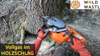 Vollgas mit Protos Keilen und Forstreich TR30