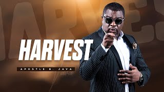 SUNDAY (MORNING) SERVICE: HARVEST