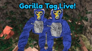 🔴Gorilla Tag Live!🔴