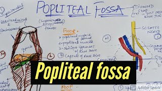 POPLITEAL FOSSA AND ITS CONTENT