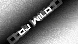 Dj Wild - Kur Ta kujtosh PRIZREN'in (Dance Mix)