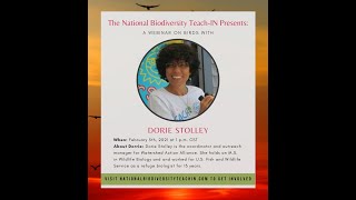 Dorie Stolley, Egrets to Eagles: Introduction to Wild Bird Identification