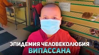 35. Топ мест Шри-Ланки. Випассана. Damma service. Vipassana. [ENG] SUB