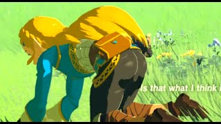 Breath Of The Wild Random Stream 1