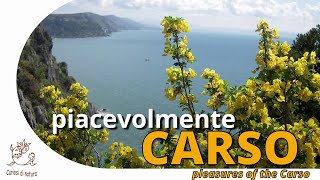 Piacevolmente Carso: hikes around Trieste, Gorizia and Slovenia. With Curiosi di natura [HD, ENG]