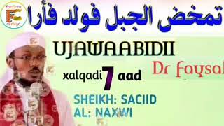 Ujawaabidii Dr Faysal