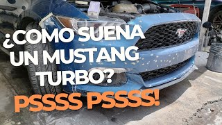 NO ME ACOSTUMBRO A ESTO😱| MUSTANG ECOBOOST| INSTALACION DE VALVULA DE ALIVIO| FORGE BLOW OFF VALVE