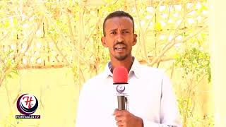 Dawlado Carbeed Oo La Sheegay In Ay Duulaan Xoogan Ku Soo Qaadeen Xayawaanada  Somaliland