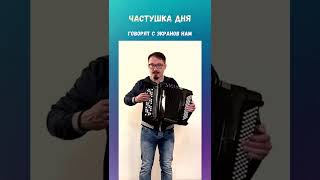 Частушка дня # 12