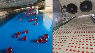 US 300 kg Gummy candy production line test #marmalade #Gummy Manufacturing Line