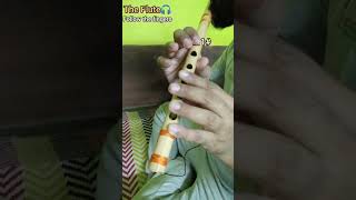 Kaise Hua||Kabir Sing||Flute Lesson