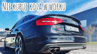 NIGDY NIE KUPUJ KOTA W WORKU  AUDI S4 333HP