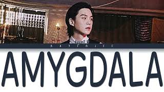 Agust D – AMYGDALA [Color Coded Lyrics Han_Rom_Eng]