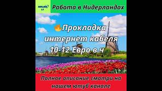 Работа в Европе. РАбота в Нидерландах