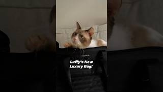 Luxury Carrier for Cats and Dogs