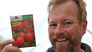 Planting tomato seeds in the greenhouse. #shorts #gardening #garden