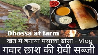 Dhosa in farm | Masala dhosa | Dosa recipe #recipe #vlog #kitchen