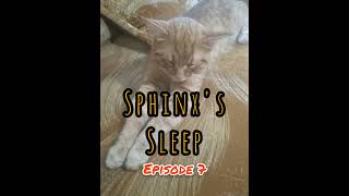 Episode 07 Sphinx's Sleep | Монстрик заснув | Як спить сфінкс