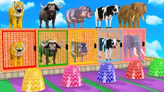 Long Slide Game With Elephant Gorilla Buffalo Hippopotamus Tiger - 3d Animal Game - Funny 3d Animals