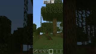 Minecraft dar nu am voie să ating galben #minecraft