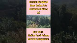 Ada yang aneh #fyp #pegunungan #sawit #pemandangan #ostara  #tranding #short #shortvideo #viral