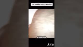 My favorite TikTok LMAO