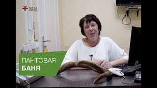 Пантовая Баня l Оленья Застава