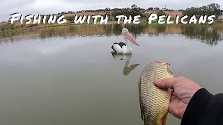 Fishing On The River Murray & testing out the tinny.