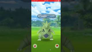 Rare Spawns | Tyranitar | Pokémon GO