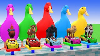 5 Giant Duck Cartoon, Cow, Mammoth, Elephant, Lion, Paint Wild Animals Crossing Fountain Animation