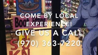 Local Experience Member Highlight